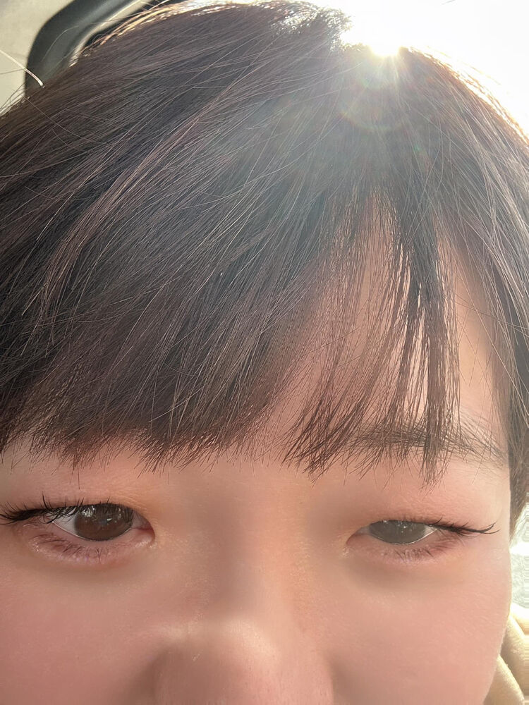 画像1309