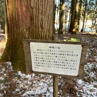 画像1339