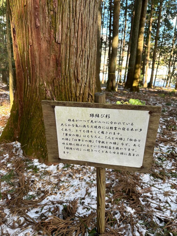 画像1339