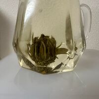 画像1369