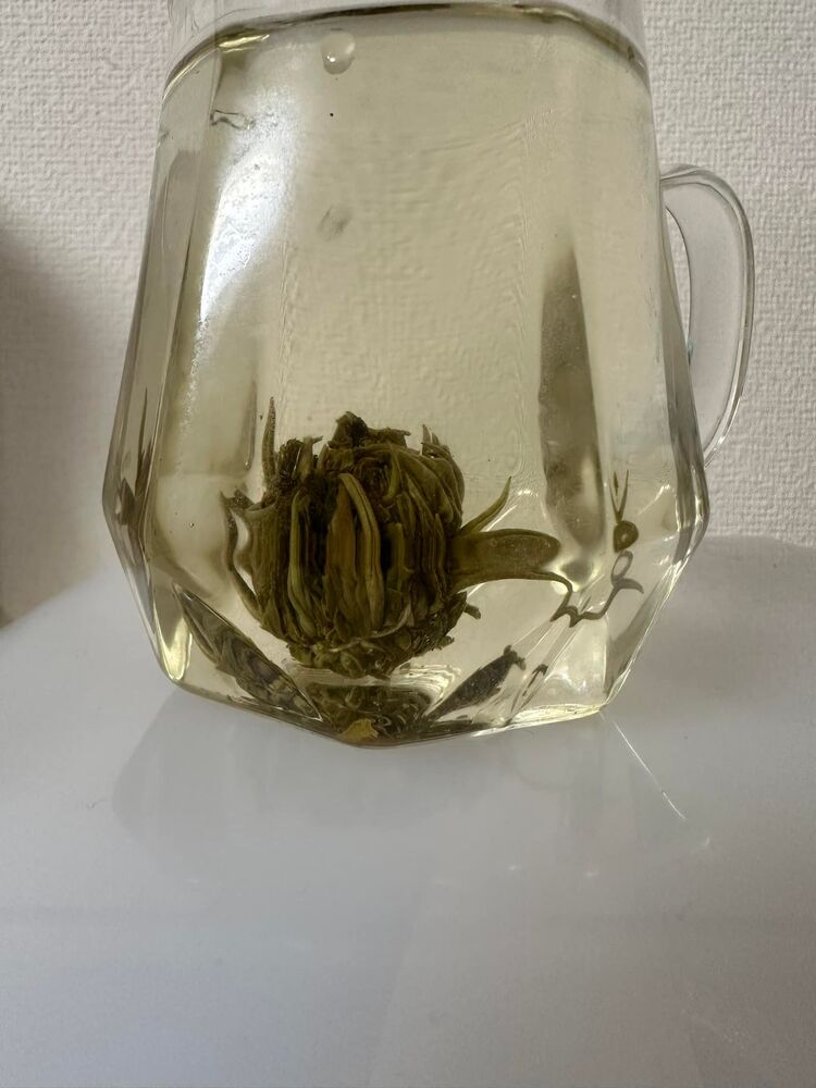 画像1369