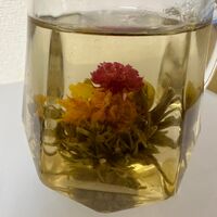 画像1371