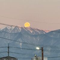 画像1387