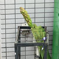 画像1606
