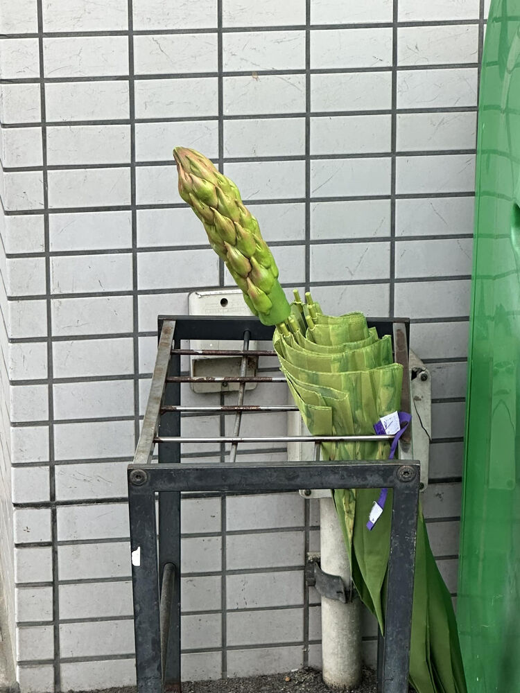 画像1606