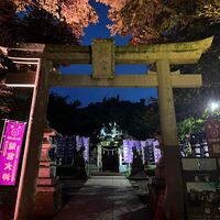 画像1643