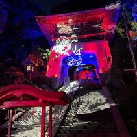 画像1644